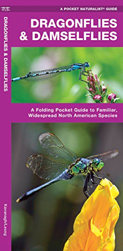 Dragonflies & Damselflies: A Folding Pocket Guide to Familiar, Widespread North American Species (Nature Observation North America)