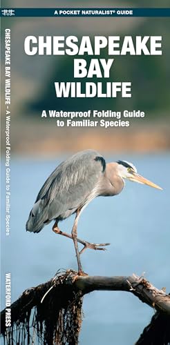 Chesapeake Bay Wildlife: A Folding Guide to Familiar Species (Nature Observation North America)