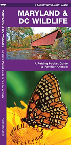 Maryland & DC Wildlife: A Folding Pocket Guide to Familiar Animals (Nature Observation North America)