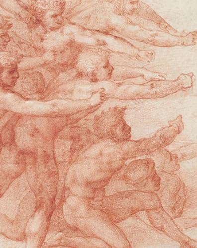 Michelangelo: Divine Draftsman and Designer