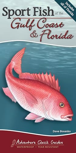 Sport Fish of the Gulf Coast & Florida: Your Way to Easily Identify Sport Fish (Adventure Quick Guides)