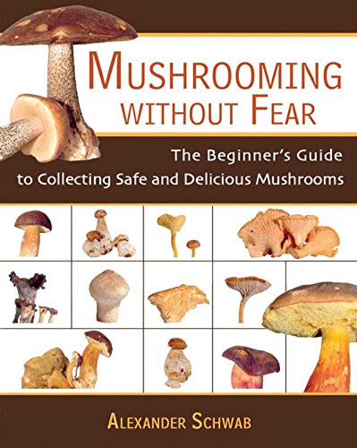 Mushrooming Without Fear: The Beginner