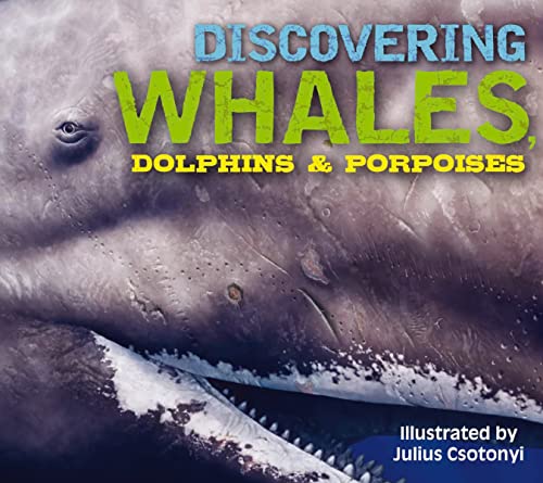 Discovering Whales, Dolphins and Porpoises: The Ultimate Guide to the Ocean