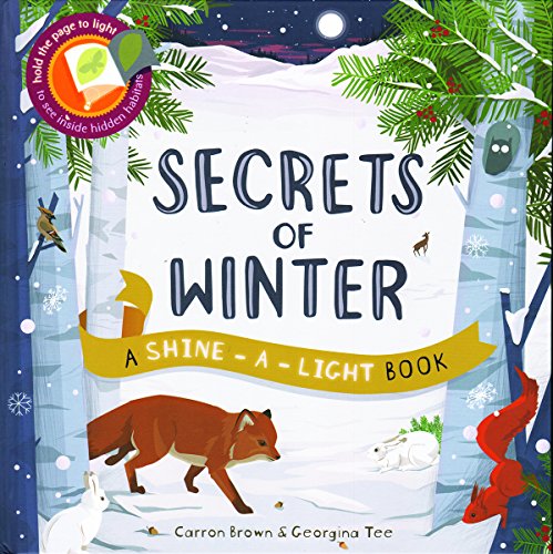 Secrets of Winter Secrets (A Shine-A-Light Book )