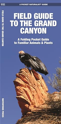 Field Guide to the Grand Canyon: A Folding Pocket Guide to Familiar Plants & Animals (Nature Observation North America)