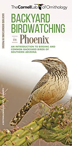 Backyard Birdwatching in Phoenix: An Introduction to Birding and Common Backyard Birds of Southern Arizona (All About Birds)