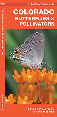 Colorado Butterflies & Pollinators: A Folding Pocket Guide to Familiar Species (Wildlife and Nature Identification)