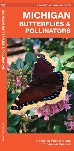 Michigan Butterflies & Pollinators: A Folding Pocket Guide to Familiar Species (Wildlife and Nature Identification)