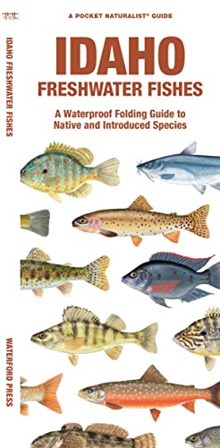 Idaho Freshwater Fishes: A Folding Guide to Native and Introduced Species (Pocket Naturalist Guide)