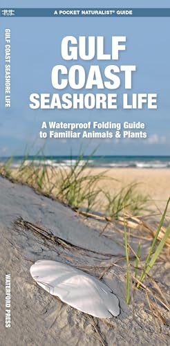 Gulf Coast Seashore Life: A Folding Guide to Familiar Animals & Plants (Nature Observation North America)