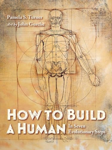 How to Build a Human: In Seven Evolutionary Steps