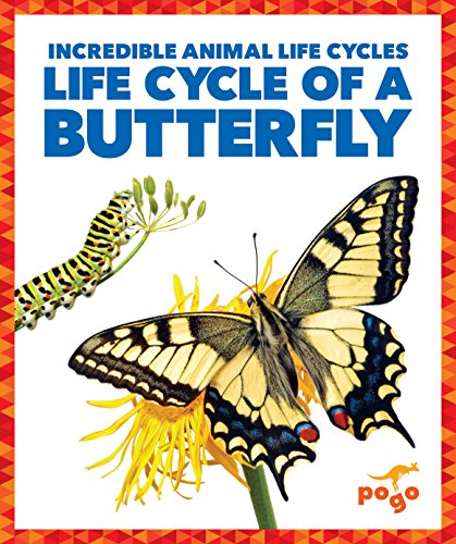 Life Cycle of a Butterfly (Pogo Books: Incredible Animal Life Cycles)