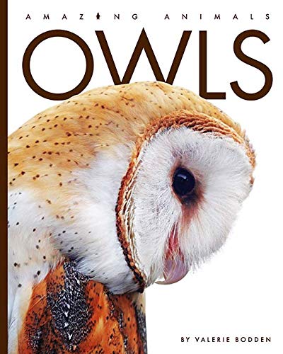 Owls (Amazing Animals)