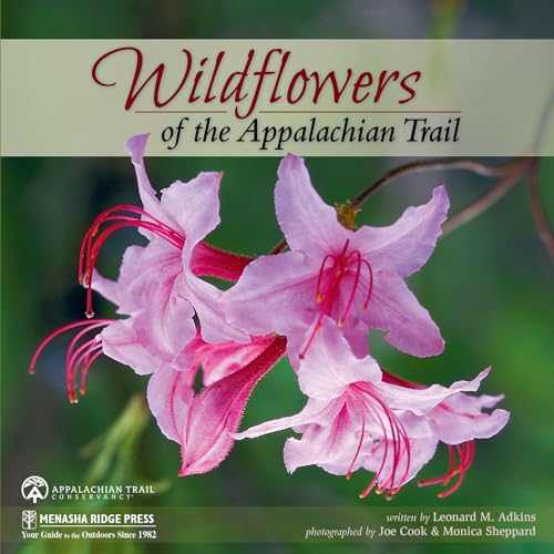 Wildflowers of the Appalachian Trail