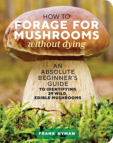 How to Forage for Mushrooms without Dying: An Absolute Beginner