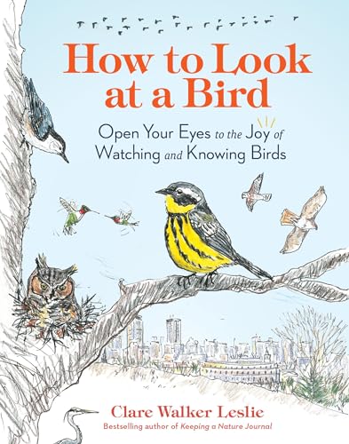 How to Look at a Bird: Open Your Eyes to the Joy of Watching and Knowing Birds