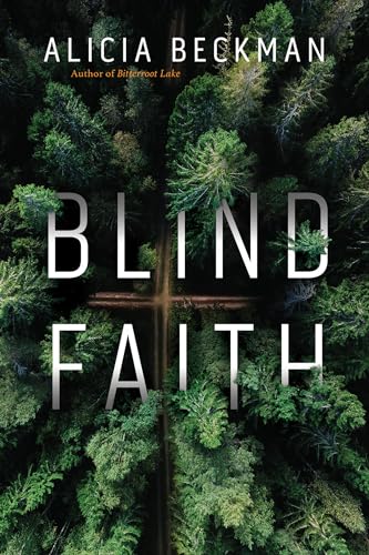 Blind Faith: A Novel