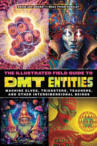 The Illustrated Field Guide to DMT Entities: Machine Elves, Tricksters, Teachers, and Other Interdimensional Beings