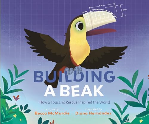 Building a Beak: How a Toucan