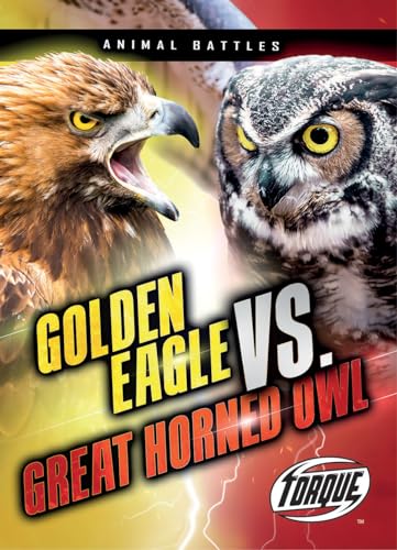 Golden Eagle vs. Great Horned Owl (Animal Battles)