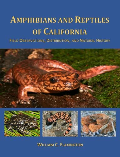 Amphibians and Reptiles of California