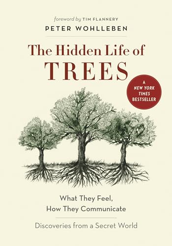 The Hidden Life of Trees: What They Feel, How They Communicate―Discoveries from A Secret World (The Mysteries of Nature, 1)