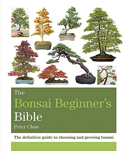 The Bonsai Beginner