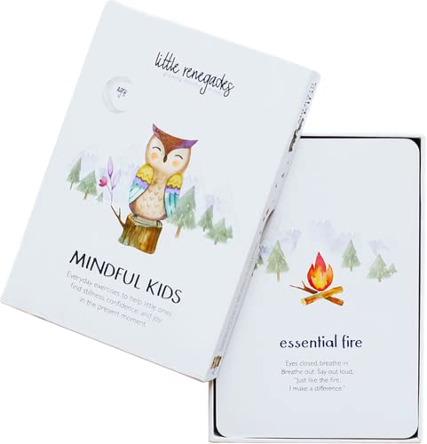 Little Renegades Mindful Kids Cards - Daytime Affirmation and Mindfulness for Kids Ages 3 and Up - Calming Corner Classroom Learning Games with Slow Breathing Exercises and Reflection - 40 Cards
