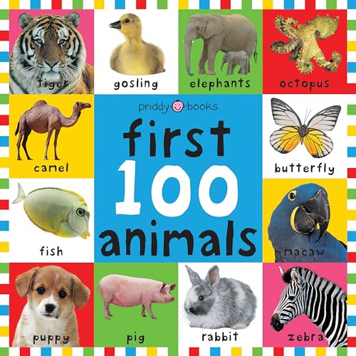 First 100 Animals (Bright Baby First 100)