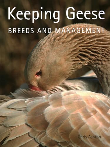 Keeping Geese: Breeds and Management