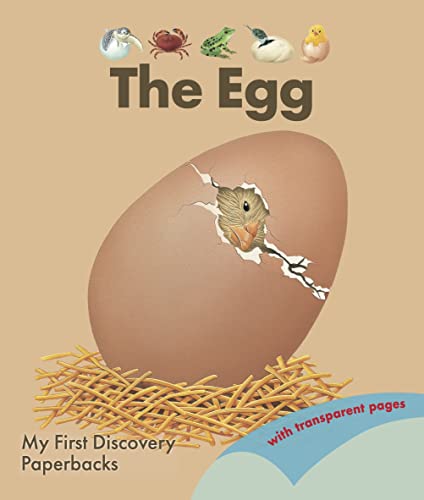 The Egg (My First Discovery Paperbacks)