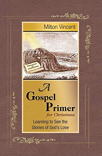 A Gospel Primer for Christians: Learning to See the Glories of God