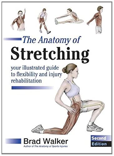 Anatomy Of Stretching 2nd