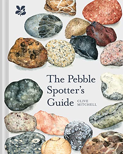 The Pebble Spotter