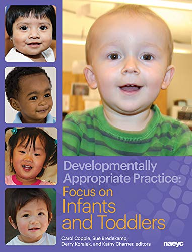 Developmentally Appropriate Practice: Focus on Infants and Toddlers (DAP Focus Series)