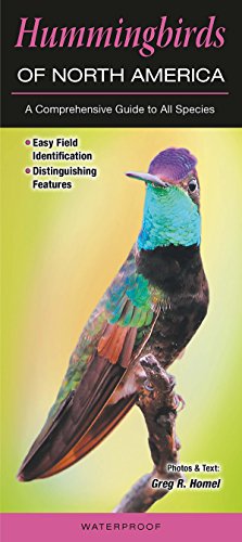 Hummingbirds of North America: A Comprehensive Guide to All Species