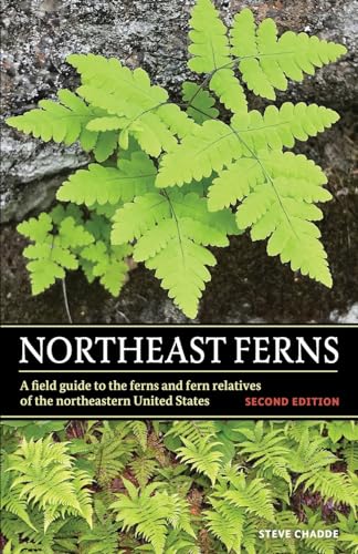 Northeast Ferns: A Field Guide to the Ferns and Fern Relatives of the Northeastern United States