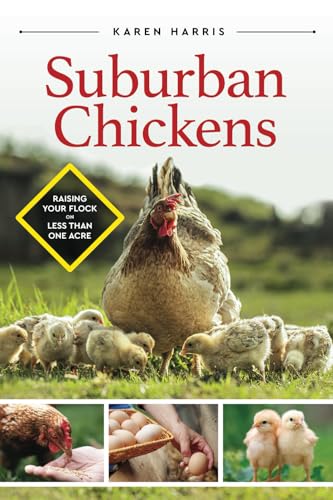 Suburban Chickens: Raising Your Flock on Less Than One Acre