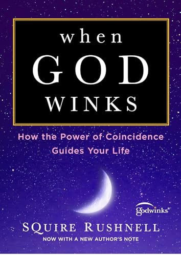 When God Winks: How the Power of Coincidence Guides Your Life (1) (The Godwink Series)