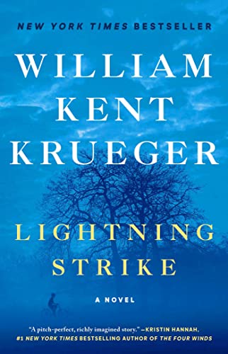 Lightning Strike: A Novel (18) (Cork O