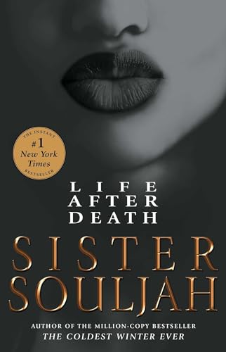 Life After Death: A Novel (2) (The Winter Santiaga Series)