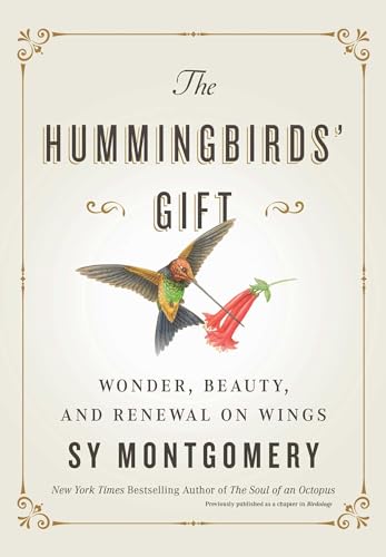 The Hummingbirds