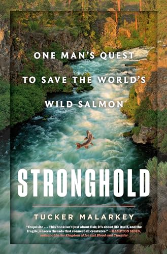 Stronghold: One Man