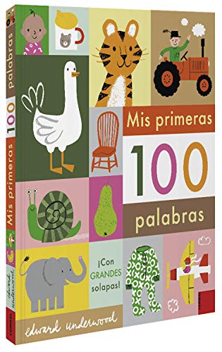 Mis primeras 100 palabras (Spanish Edition)