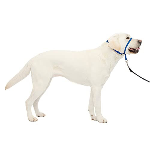 PetSafe Gentle Leader No-Pull Dog Headcollar - The Ultimate Solution to Pulling - Redirects Your Dog