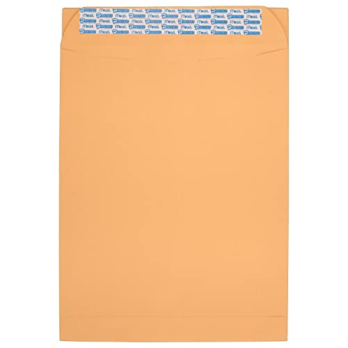 Mead Press-It Seal-It Envelopes, 10 x 13 Inches, Office Pack 20 Count (76088)