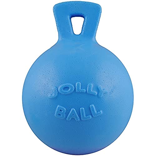 Jolly Pets Tug-n-Toss Heavy Duty Dog Toy Ball with Handle, 8 Inches_Large, Blueberry