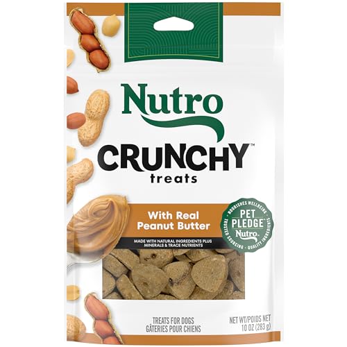 NUTRO Crunchy Dog Treats with Real Peanut Butter, 10 oz. Bag