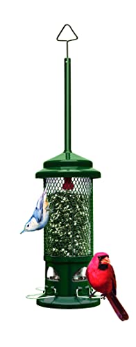 Squirrel Buster Standard Squirrel-proof Bird Feeder w_4 Metal Perches, 1.3-pound Seed Capacity, garden green