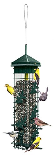 Squirrel Solution200 Squirrel-proof Bird Feeder w_6 Feeding Ports, 3.4-pound Seed Capacity, Free Seed Funnel